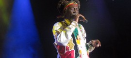 Bunny wailer