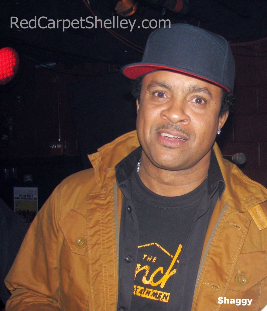 Jamaican dancehall superstar Shaggy