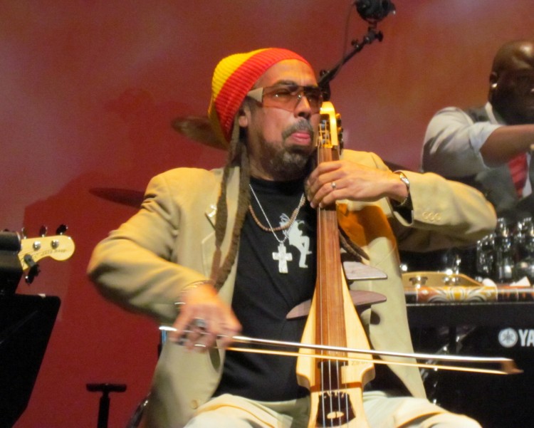 Cat Coore Performs During NBAF's Legends Celebration Cat Coore Performs During NBAF's Legends Celebration