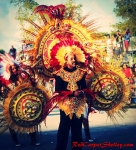 30th Anniversary of Miami Carnival took place on October 12, 2014. Photo: RedCarpetShelley.com
