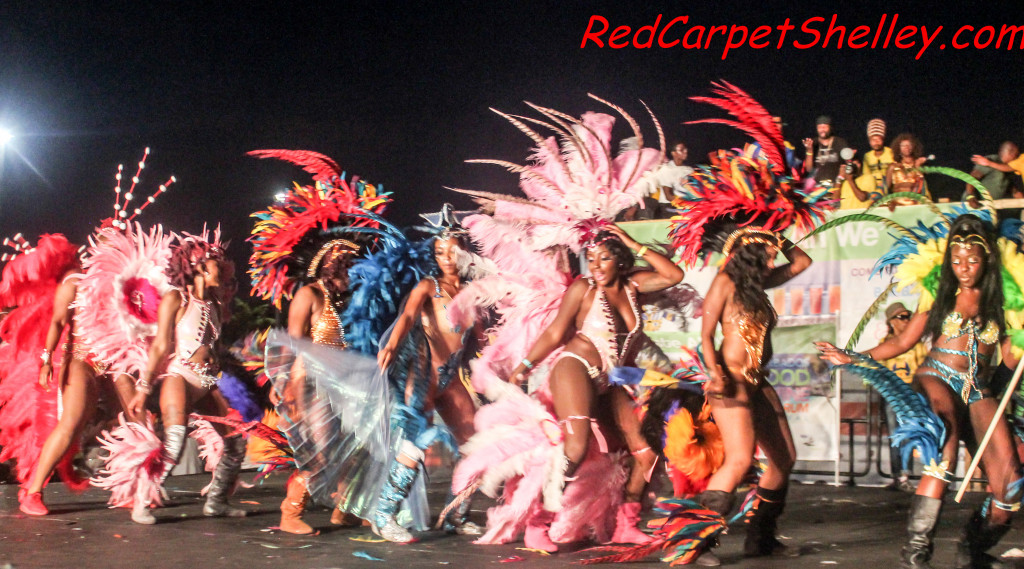 Masqueraders at Miami Carnival 2015