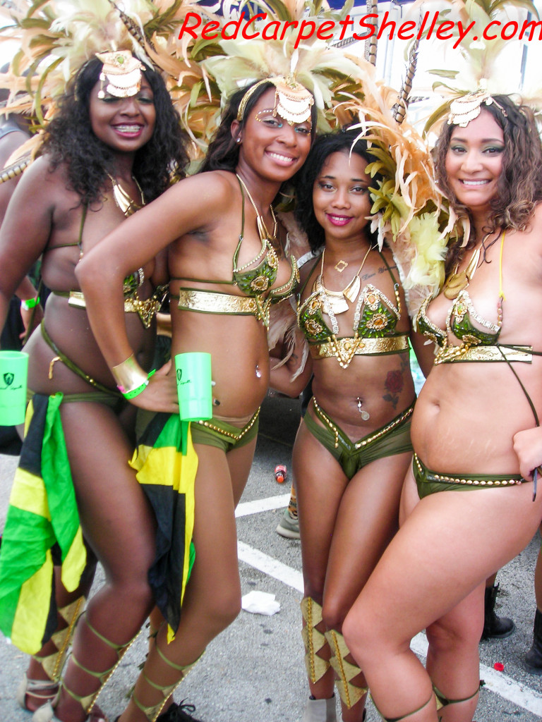 Miami Carnival 2015 took place on Sunday, October 11, 2015