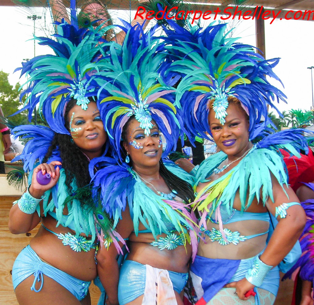 Miami Carnival 2015