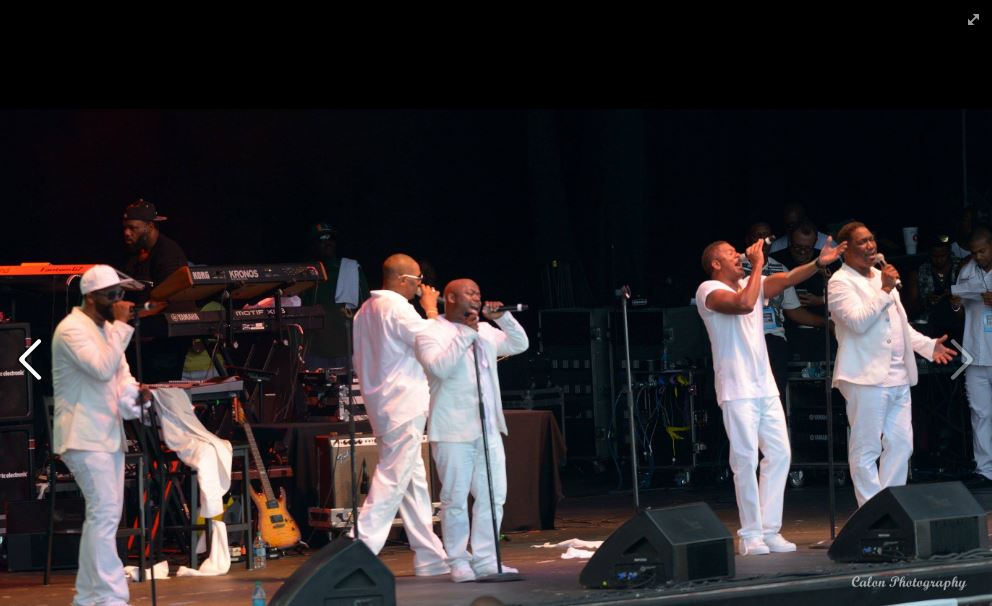 Silk - Photo credit Calon Photography