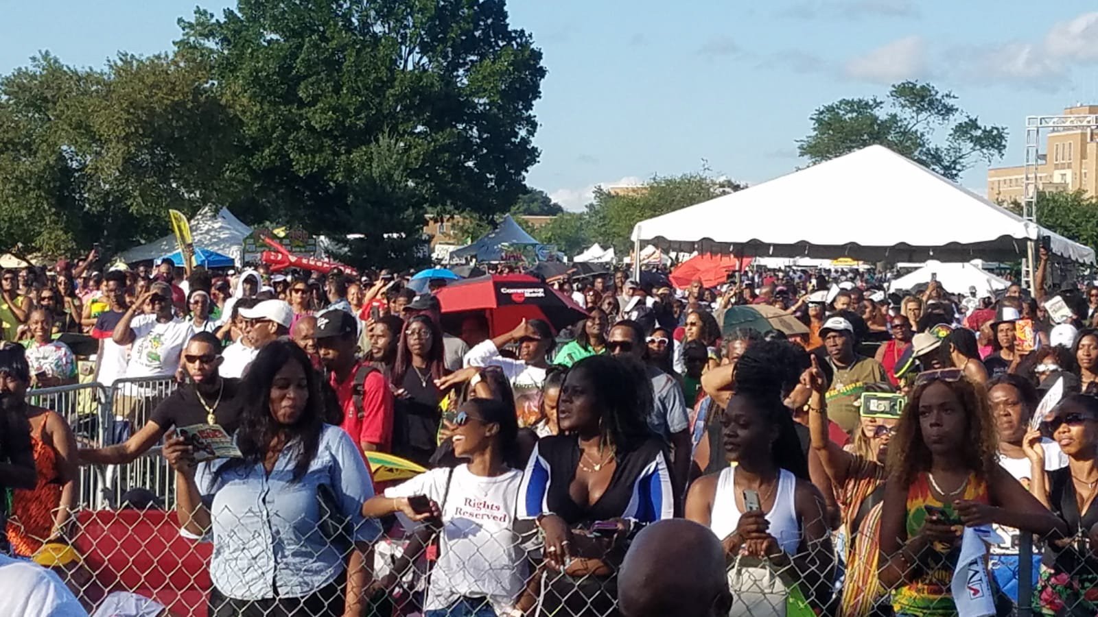 Crowd enjoying the NY Jerk Festival.  PHOTO:  Sandra Edwards, redcarpetshelley.com