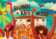 Shaggy Is In the Mood For Carnival With New EP and Music Video Shaggy and Kess Set the 'Mood' for Carnival